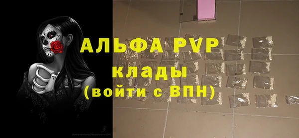 apvp Няндома