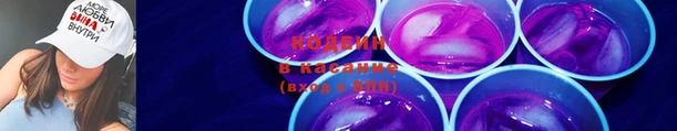 индика Зерноград