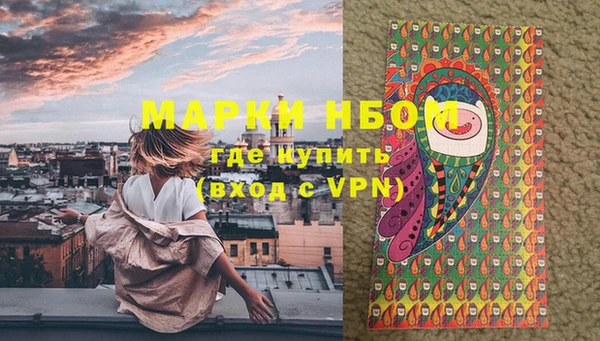 apvp Няндома
