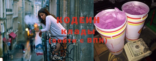 apvp Няндома
