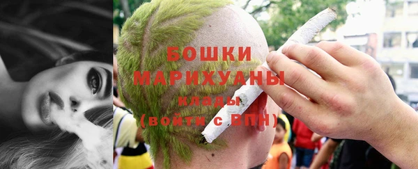 индика Нижний Тагил