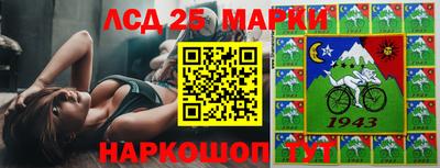 шишки Аргун