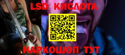 шишки Аргун
