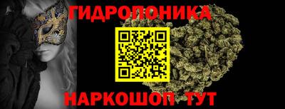 шишки Аргун