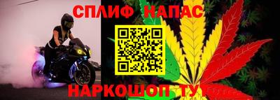 spice Балаково