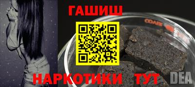 шишки Аргун