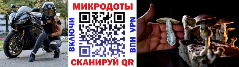 Псилоцибиновые грибы Psilocybe  нарко площадка наркотические препараты  Верхняя Салда 