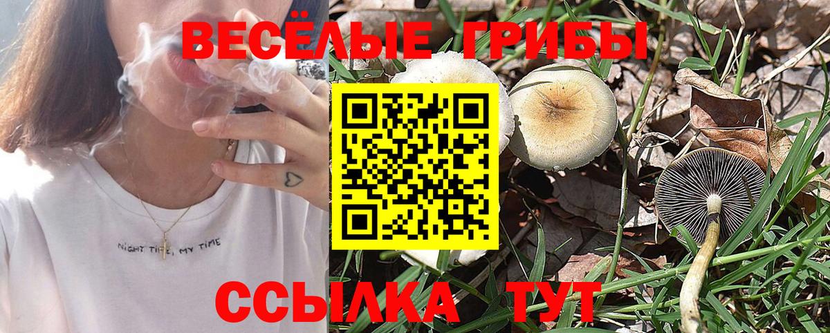 Галлюциногенные грибы GOLDEN TEACHER Верхняя Салда