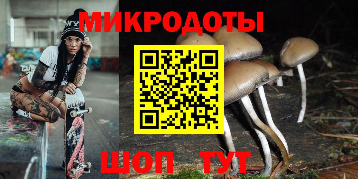 Псилоцибиновые грибы мицелий Верхняя Салда