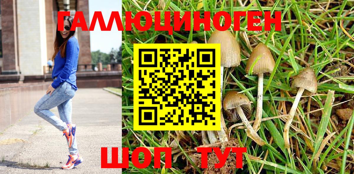 Псилоцибиновые грибы Cubensis  Вход с VPN  где продают наркотики  Верхняя Салда  Галлюциногенные грибы MAGIC MUSHROOMS 